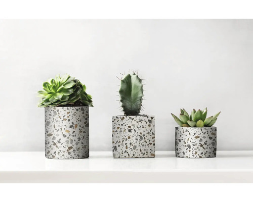 Trois plantes dans des cache-pots avec motif terrazzo