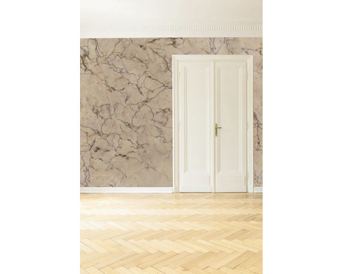 Pièce lumineuse avec papier peint marbré, porte double et parquet.