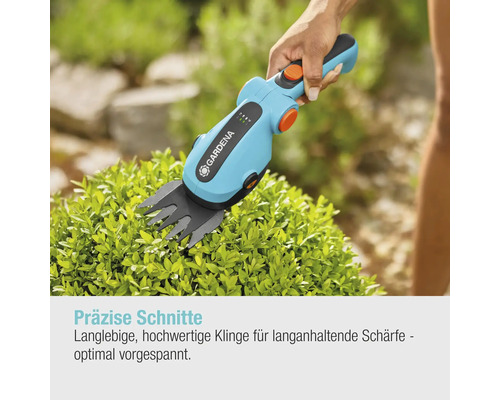 Gardena Akku-Grasschere schneidet Buchsbaum