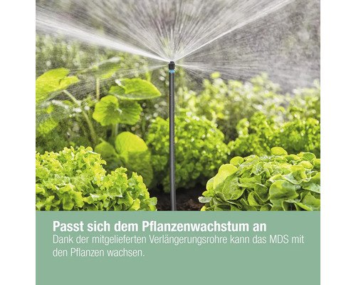 Bewässerungssystem mit Sprinkler im Gemüsegarten