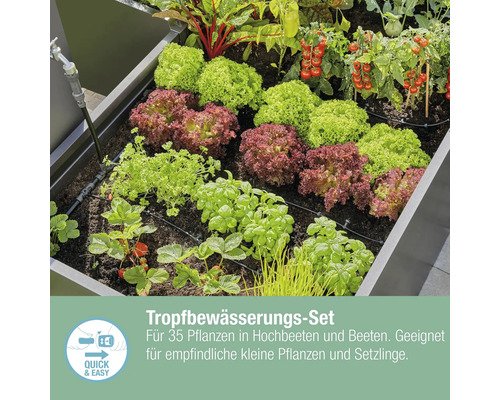 Tropfbewässerungssystem für 35 Pflanzen in Hochbeeten und Beeten, geeignet für empfindliche kleine Pflanzen