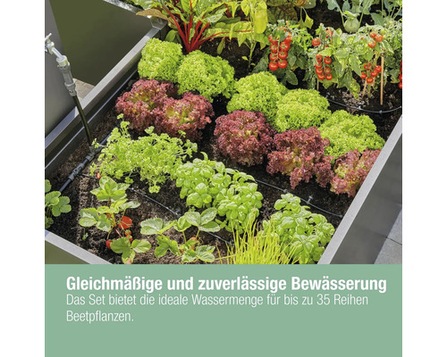 Hochbeet mit Salat, Tomaten, Erdbeeren und Bewässerungssystem