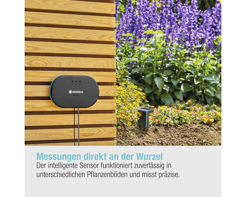 Capteur Gardena Smart System pour mesurer l''humidité du sol dans le jardin.