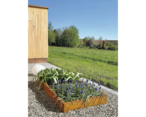 Jardinière avec plantes sur une surface de gravier dans le jardin