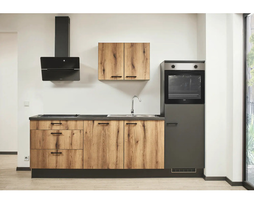 Cuisine moderne avec hotte, évier, cuisinière et four.