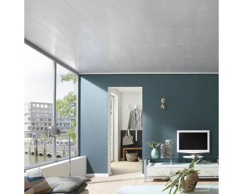 Salon avec plafond en lambris de bois, fenêtre et mobilier