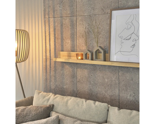 Salon avec étagère murale, décoration et lampe