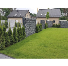 Clôture en gabion remplie de pierres et de cyprès verts dans un jardin