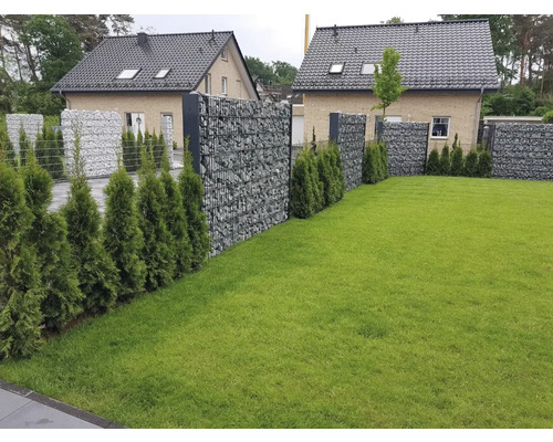 Clôture en gabion remplie de pierres et de cyprès verts dans un jardin
