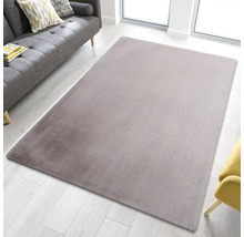 Tapis gris dans le salon avec canapé et fenêtre