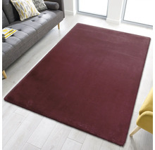 Tapis à poils longs rectangulaire dans un salon avec canapé