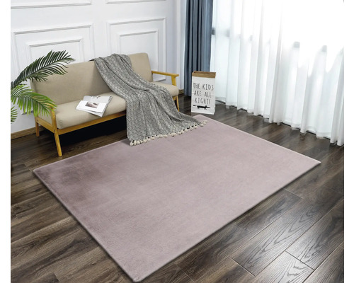 Salon avec tapis, canapé et décoration