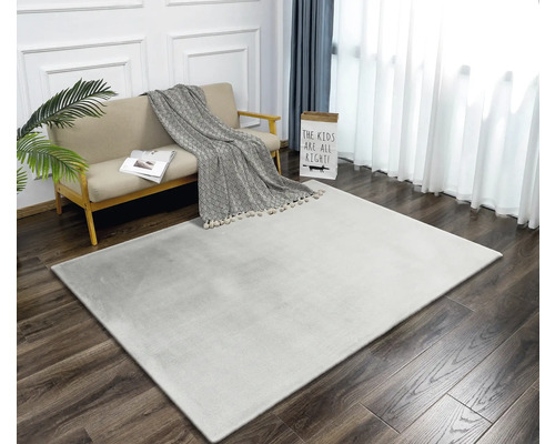 Tapis de couleur claire dans un salon avec canapé et décoration