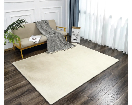 Tapis beige sur parquet dans un salon lumineux avec canapé et décoration