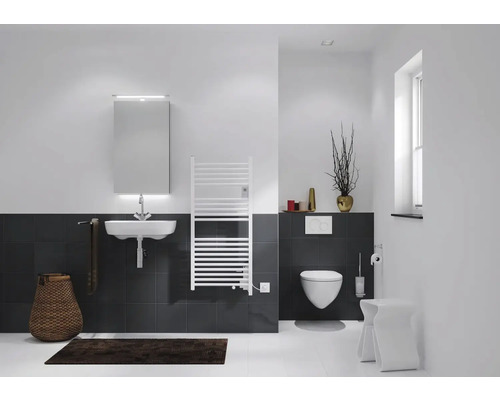 Salle de bain avec lavabo, miroir, radiateur et toilettes.