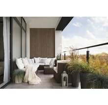 Panneau acoustique mélèze brut massif 1195 x 572 x 19 mm
