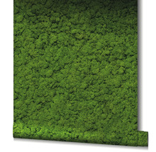 Rouleau de papier peint avec motif de mousse