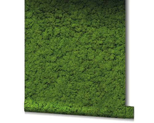 Tapetenrolle mit Moos-Motiv