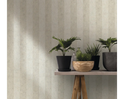Vue d''une pièce avec papier peint à rayures, plantes en pot et bouteilles décoratives