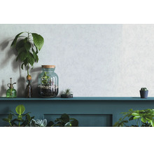 Plantes d''intérieur décoratives et pots de fleurs sur une étagère