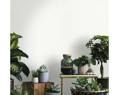 Innenraum mit verschiedenen Zimmerpflanzen auf Tischen und Regalen, helle und freundliche Atmosphäre.