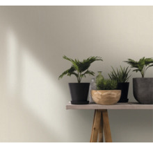 Wandgestaltung mit Zimmerpflanzen auf einem Tisch