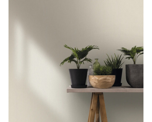 Décoration murale avec plantes d''intérieur sur une table