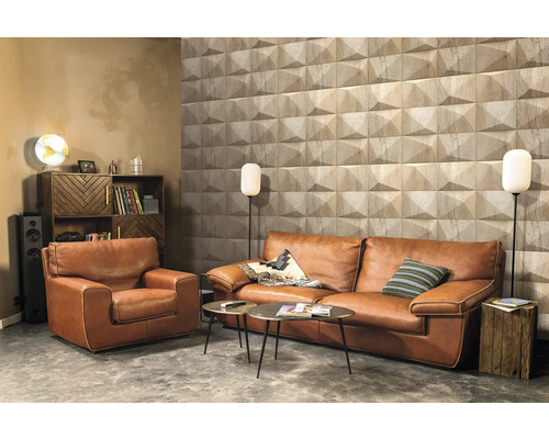Salon avec canapé en cuir, fauteuil, panneaux muraux en bois et étagères