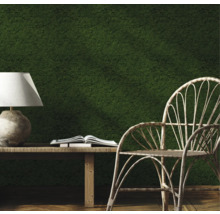 Intérieur décoratif avec mur de mousse, table, lampe, livre et chaise