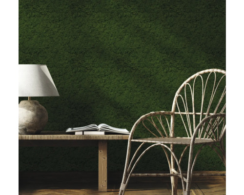 Dekoratives Interieur mit Mooswand, Tisch, Lampe, Buch und Stuhl