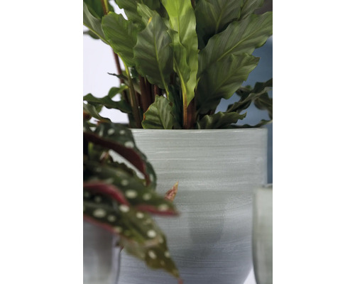 Disques de plantation pour les plantes en pot, ø 35 cm