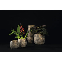 Pots de fleurs décoratifs de différentes tailles avec des plantes sur un fond sombre.