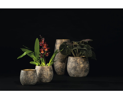 Pots de fleurs décoratifs de différentes tailles avec des plantes sur un fond sombre.