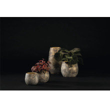 Quatre pots de fleurs avec des plantes sur un fond sombre
