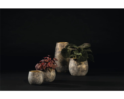 Quatre pots de fleurs avec des plantes sur un fond sombre