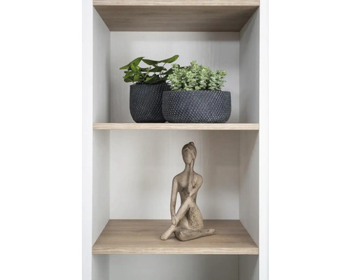 Étagère décorative avec des plantes en pot et une statue de femme
