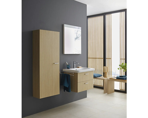 Salle de bains avec lavabo, armoire de toilette et armoire haute aspect bois