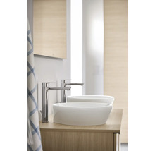 Salle de bains moderne avec deux vasques à poser et robinetterie sur meuble-lavabo