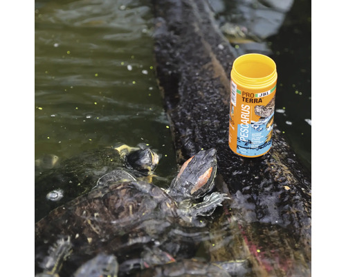 Schildkrötenfutter neben einem Baumstamm im Wasser und Schildkröten