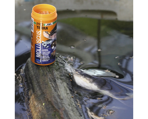 JBL ProTerra Molluscus Futter für Wasserschildkröten