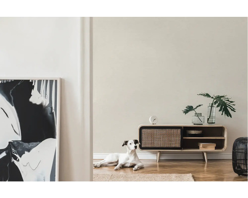 Espace de vie lumineux avec commode, décoration et chien