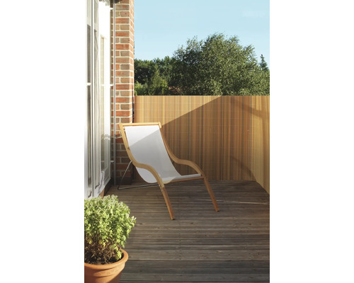 Szene mit einem Holzdeck, einem Liegestuhl, einer Sichtschutzwand und einer Pflanze im Topf.