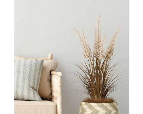 Dekorative Pflanze in einem geflochtenen Korb neben einem Sofa mit Kissen