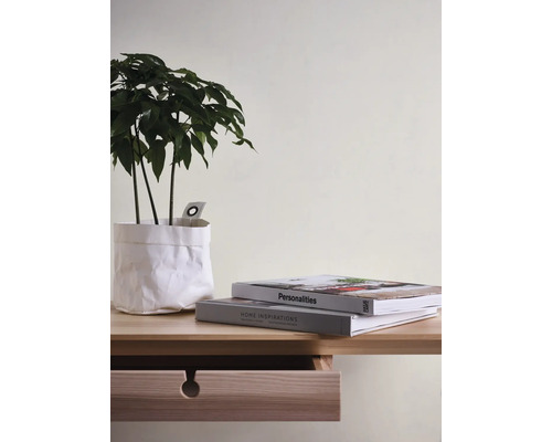 Plante d''intérieur décorative dans un pot blanc sur une table en bois clair avec deux livres et un tiroir