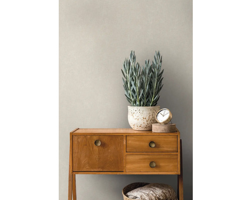 Innenaufnahme eines Raumes mit einer Kommode, einer Zimmerpflanze und einer Uhr