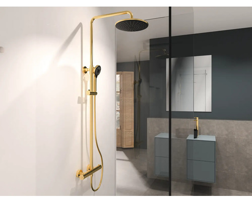 Système de douche avec douche de tête et douchette à main dans la salle de bain