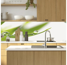 Küchenszene mit Spüle, Arbeitsplatte und Spritzschutz mit Wassertropfen auf einem Blatt