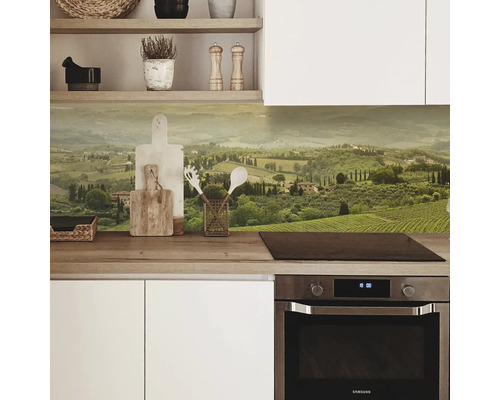 Küchenrückwand mit Landschaftsmotiv in einer modernen Küche.