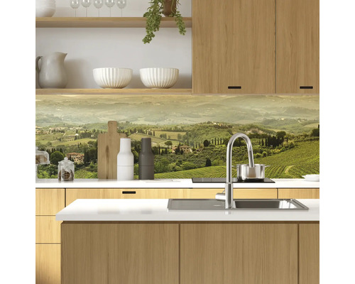 Küchenszene mit Spüle, Armatur und Landschaftsmotiv als Spritzschutz