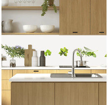Küchenszene mit Küchenmöbeln und Kräutermotiven